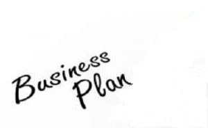 BUSINESS PLAN EXAMPLES